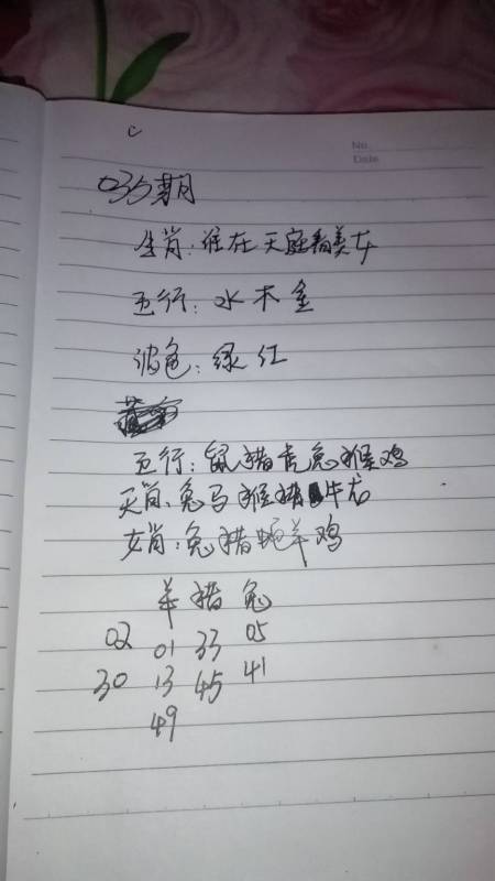 澳门精准三肖三码三期必中特|讲解词语解释释义