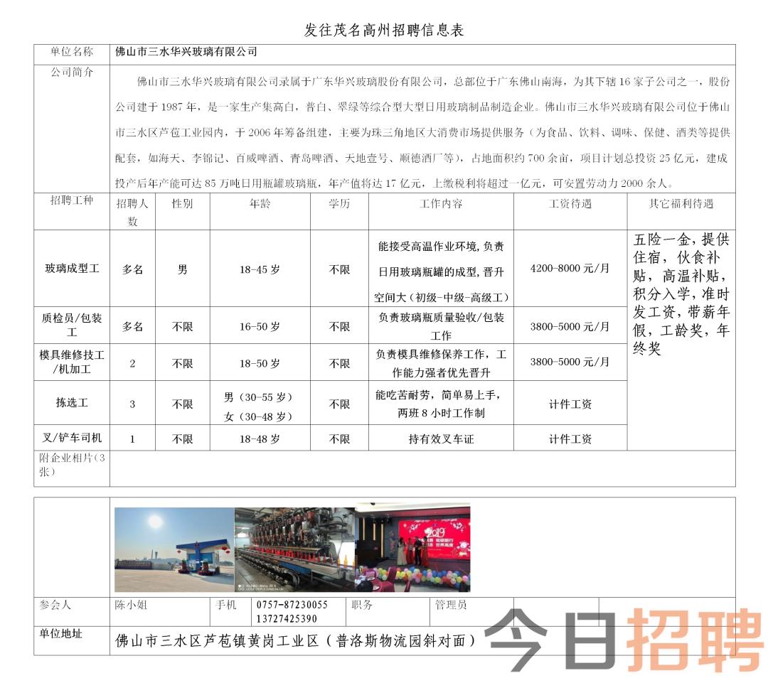 湛江招工最新招聘信息概览