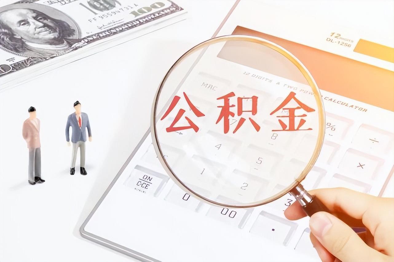 湛江人才直播招聘信息网——连接人才与机遇的桥梁