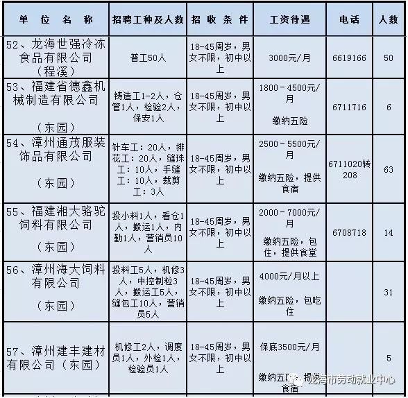 漳州龙海招工最新招聘信息概述及深度解读