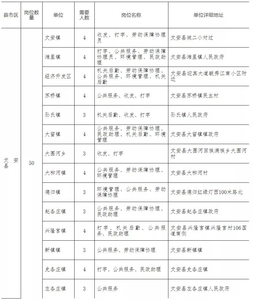 文安最新招聘信息及招工热点探讨