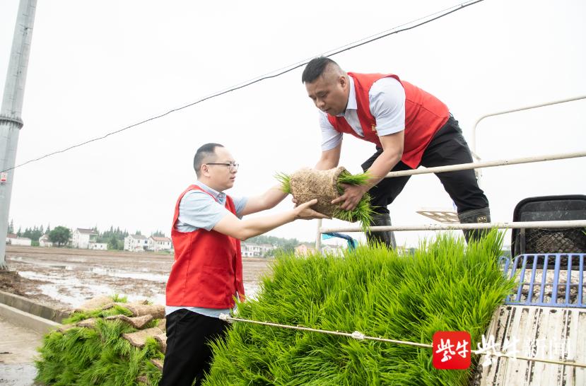 张家港人才招聘信息网——连接企业与人才的桥梁