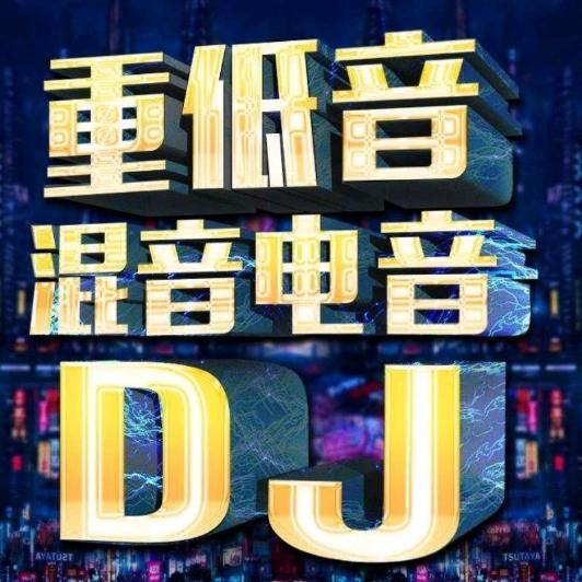 湛江咸鱼DJ音乐，在线试听的新风尚