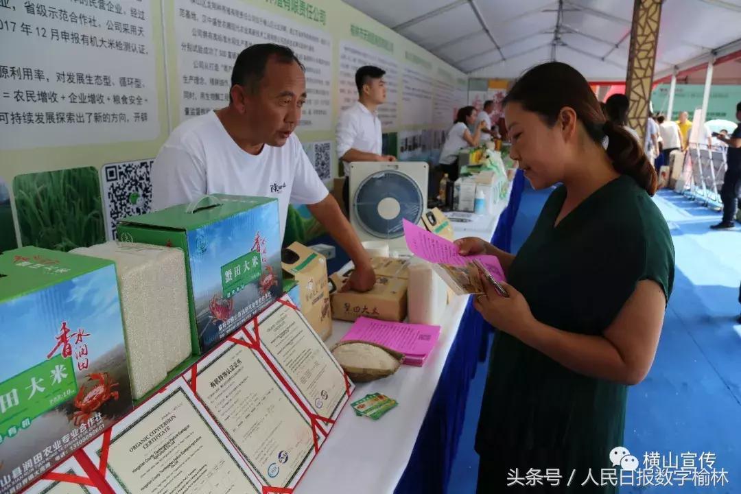 站台十首最好老歌，岁月流转，经典永存