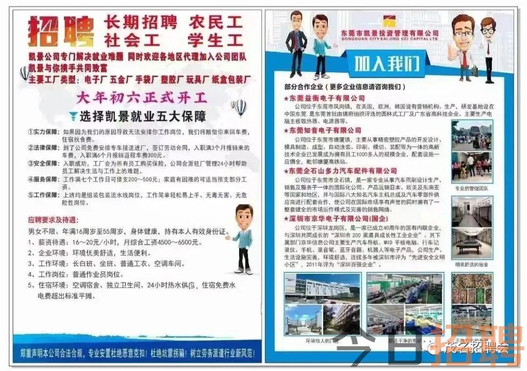 湛江人才网电工招聘网站——连接企业与人才的桥梁