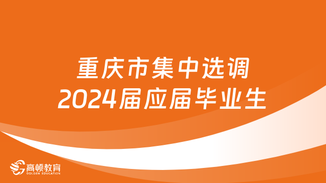 漳州紧急招聘人才信息——探寻城市发展的智慧力量